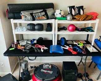 SPRI Step360 Pro, Jonsbo N2 NAS Mini ITX Hot-Swappable 5 HDD Case, hand weights, Desktop Wind Tower Fan, Vornado room heater and fan, vibrating massage balls, workout gear and sport equipment.