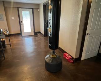 punching bag