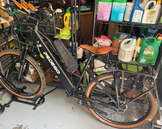 Pedego electric bike
