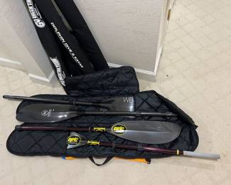 Epic and Werner carbon fiber kayak paddles