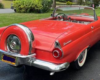 Thunderbird from the rear