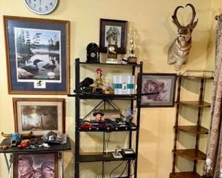 Wall and Shelf Decor Items. Taxidermy.