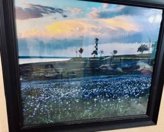 Texas Landscape Blue Bonnets