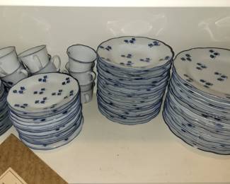 Hand painted Porcelain China set