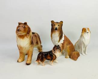 Collection of Collies
