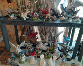 Birds