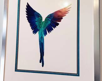 BLUE MACAW ARCHIVAL PIGMENT PRINT, ANDREW ZUCKERMAN 2004