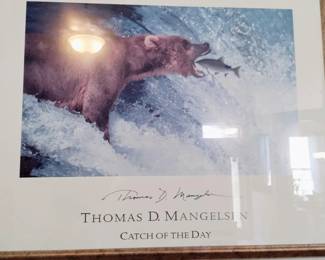 SEVERAL FRAMED PICS BEARS