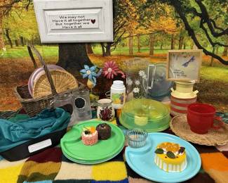 Picnic & Home Comforts Set – Kitchenware & Cheerful Deco
