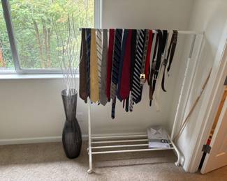 mens ties, closet storage