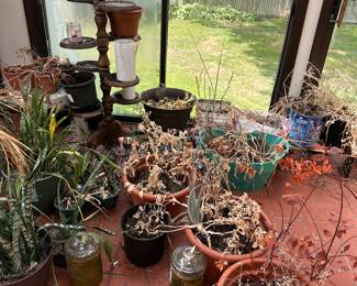 plant room