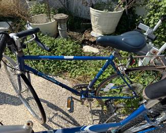 Dynasty Bicycle