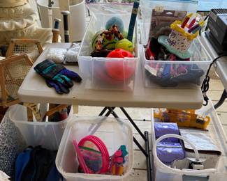 Dog items, Pool items