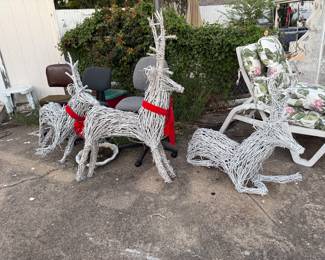 Reindeer