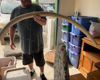 Whale bone, jaw bone-Baleen