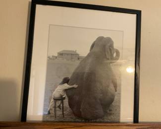 Elephant photo