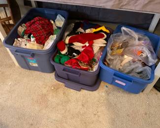 Bear clothes