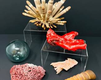 86 AssortedCoralShellOceanSpecimensRedCoralUrchinMore