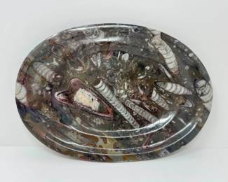 92 FossilStonePlatterPolishedAmmoniteSeaShells
