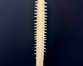 94 16SawfishRostrumSawMountedMarineSpecimenDisplay
