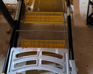 Combination ladder hand truck
