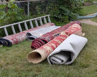 Amazing carpets available in this sale.  

And an extension ladder