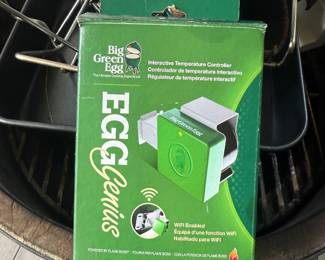 Big Green EGG size Large