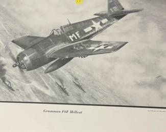 Gunman F6F Hellcat Picture