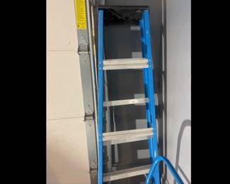 Werner Fiberglass Step Ladder with Dolly