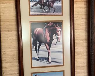 Secretariat...need I say more