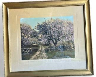 Wallace Nutting The Way Through the Orchard Hand-Tinted Photo