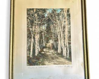 Wallace Nutting A Woodland Cathedral Hand-Tinted Photo
