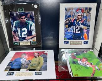 Sports and Star Trek Memorabilia Orlando Estate Auction