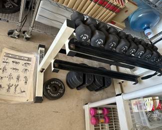 Weights set on rack with training pages and extra weights