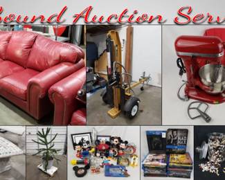 SAS Log Splitter, Plants, Crafts, Media Online Auction