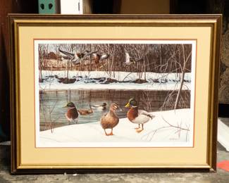 Kevin Daniel River's Edge - Mallards Limited Edition Giclée Print
