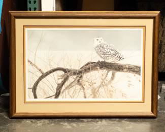 Robert Bateman Fallen Willow - Snowy Owl Limited Edition Print, 1968