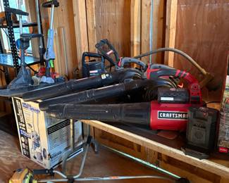 Multiple Leaf blowers and Weedeaters