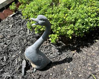 Goose