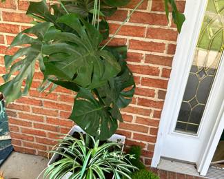 faux plants