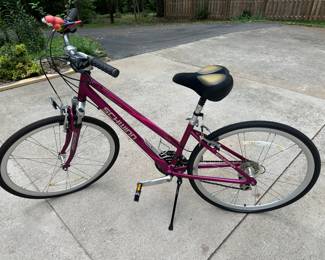 Schwinn Bike