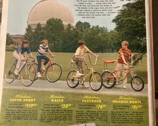 ATTN: Williams Bay residents. This vintage Schwinn ad has the famous Yerkes Observatory in the background.