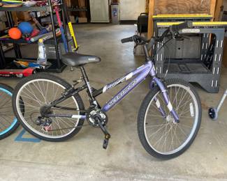 Schwinn Frontier bike