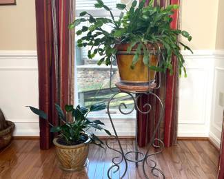 Plants & plant stands