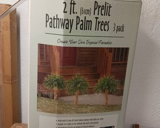2 ft pathway palm trees
