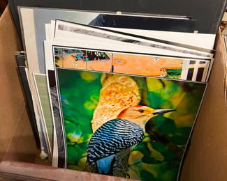 original art photography, some loose, some matted, and some printed on canvas