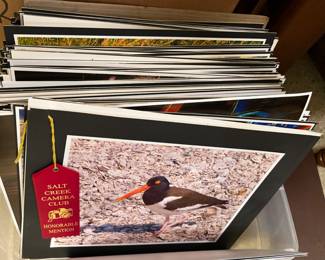 original art photography, some loose, some matted, and some printed on canvas