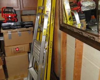 Werner Ladder and Step Ladder