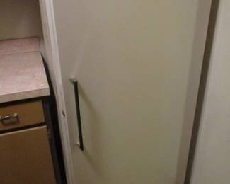 Frigidaire Freezer