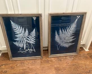 Pair of new fern framed art